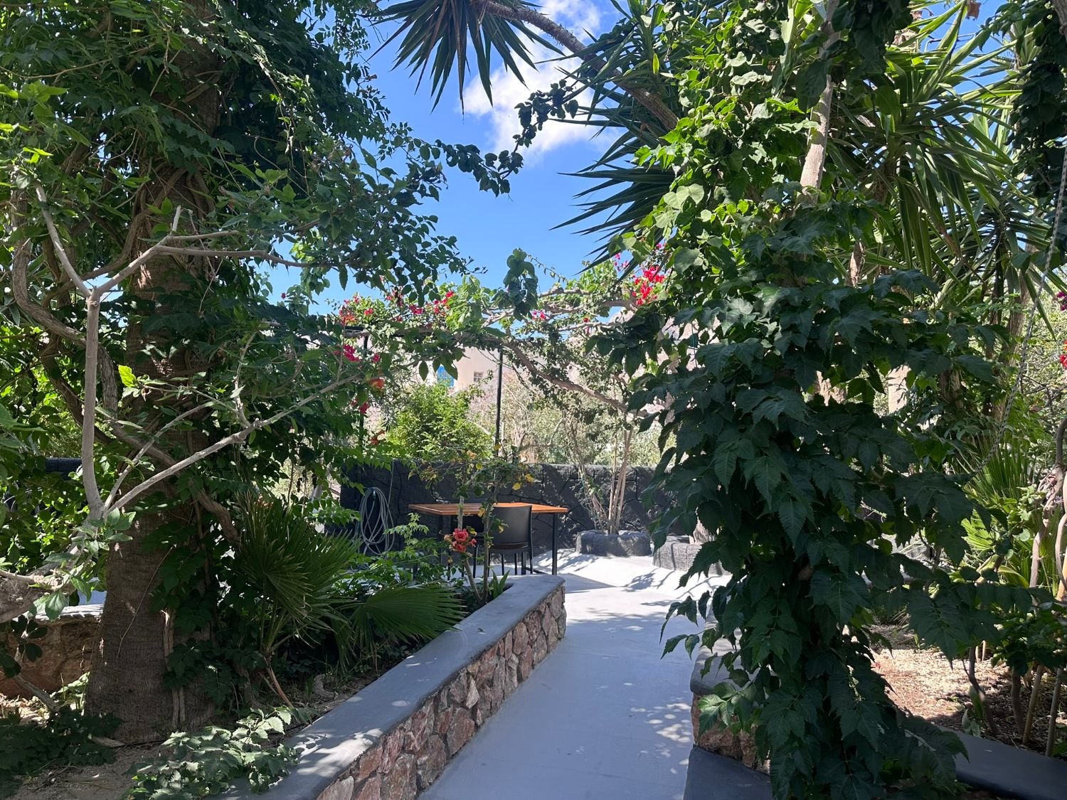 Garden terrace with a table among the trees at Dragonfly Villas