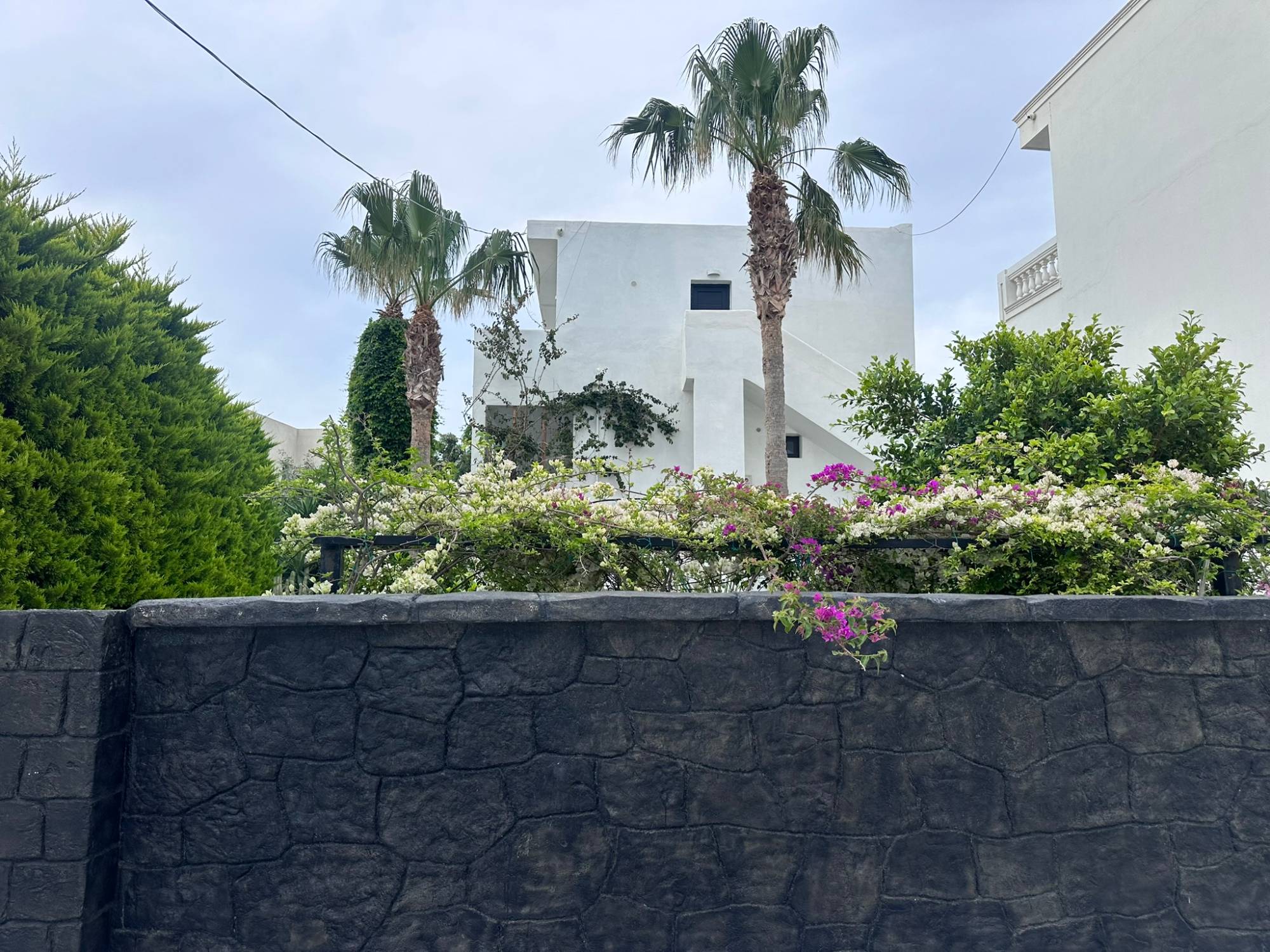 Whitewashed Dragonfly Villas building with palm trees and bougainvillea behind a volcanic stone wall