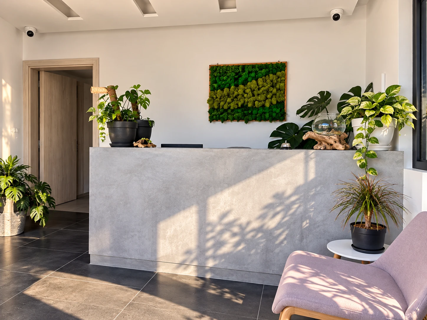 Reception of Dragonfly Villas with plants and a moss wall