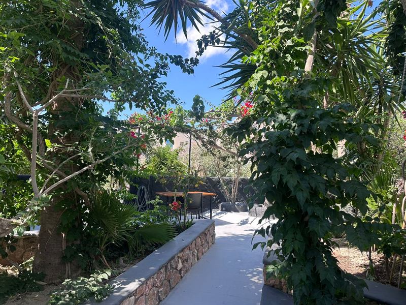 Garden terrace with a table among the trees – Dragonfly Villas, Santorini